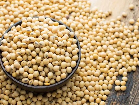 Soya Beans